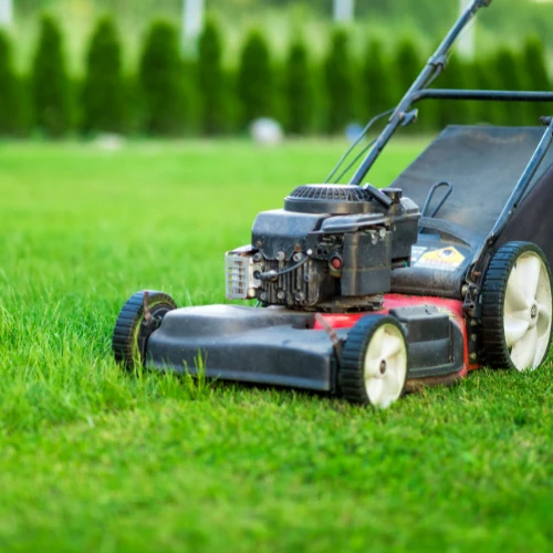 A red-and-black push lawn mower cuts a lush green lawn, with taller grass and a hedge behind it; the sunny scene feels calm and summery.